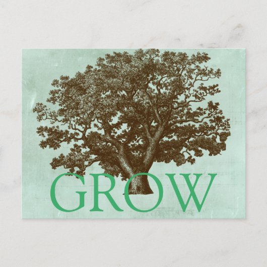 Spa-boom IV Briefkaart (Voorkant)