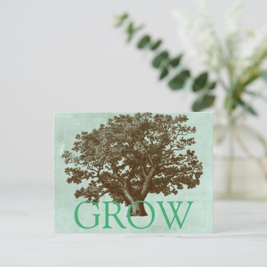 Spa-boom IV Briefkaart (Staand voorkant)