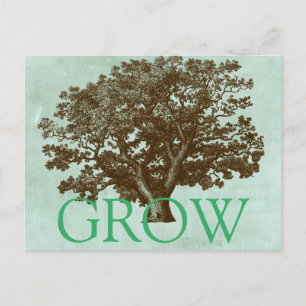 Spa-boom IV Briefkaart