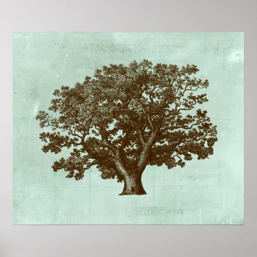 Spa-boom IV Poster (Voorkant)