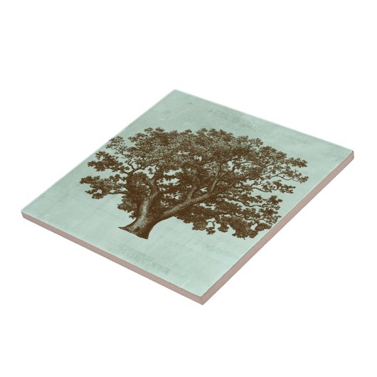 Spa-boom IV Tegeltje (Zijkant)