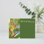 SPA BRIEFKAART (Staand voorkant)