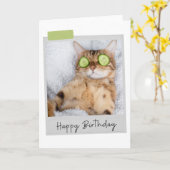 Spa Cat Funny Birthday Card Kaart (Gele Bloem)