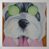 Spa Dog Poster (Voorkant)