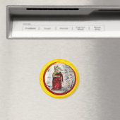 SPAANDER DE MONNIK MAGNEET (Insitu (Vaatwasser))