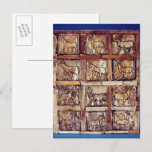 Spaanplaat, velddieren en bos briefkaart (Voorkant / Achterkant)