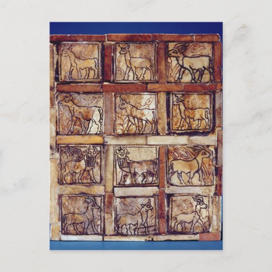 Spaanplaat, velddieren en bos briefkaart (Voorkant)