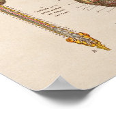 Spaans Anatomie Afdrukbrein Poster (Hoek)