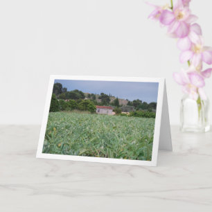 Spaans Artichoke Field, Valencia, Spanje Kaart