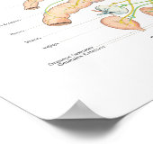 Spaans autonoom zenuwstelsel Poster (Hoek)