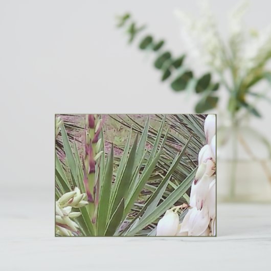 Spaans Bayonet Yucca Blossom Briefkaart (Staand voorkant)