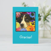 Spaans: Bedankt voor je kaart / Gracias! (Staand voorkant)