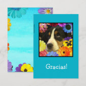 Spaans: Bedankt voor je kaart / Gracias! (Voorkant / Achterkant)