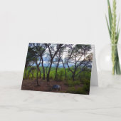 Spaans bos kaart (Voorkant)