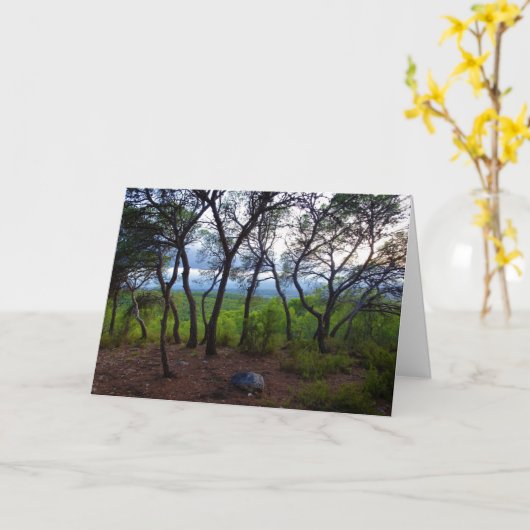 Spaans boslandschap kaart (Gele Bloem)