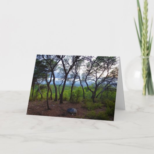 Spaans boslandschap kaart (Voorkant)