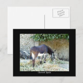 Spaans briefkaart (Voorkant / Achterkant)