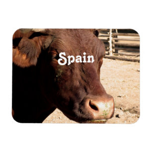 Spaans Bull Magneet