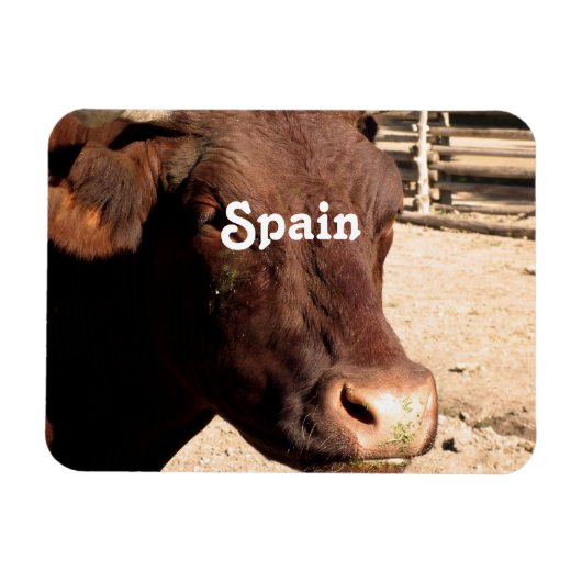 Spaans Bull Magneet (Horizontaal)