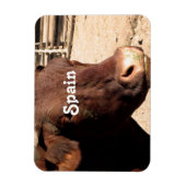 Spaans Bull Magneet (Verticaal)