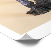 Spaans dansmiddel (brons) poster (Hoek)