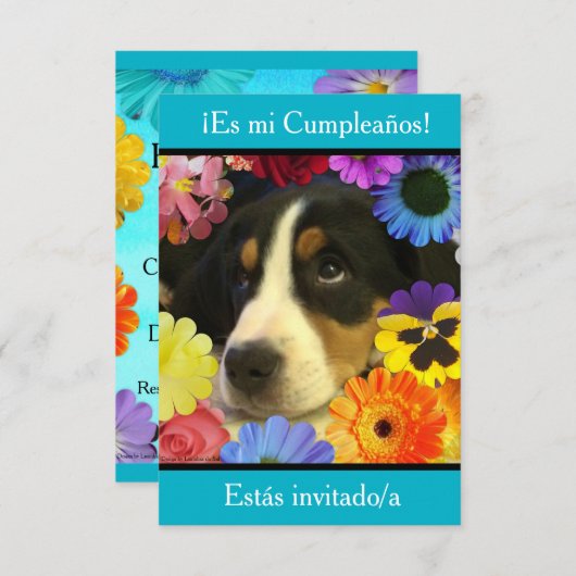 Spaans: Fiesta de cumpleaños — Invitación Kaart (Voorkant / Achterkant)