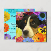 Spaans: Invitación de cumpleaños/Birthday Kaart (Voorkant / Achterkant)