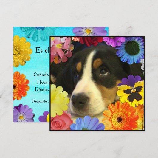 Spaans: Invitación de cumpleaños/Birthday Kaart (Voorkant / Achterkant)