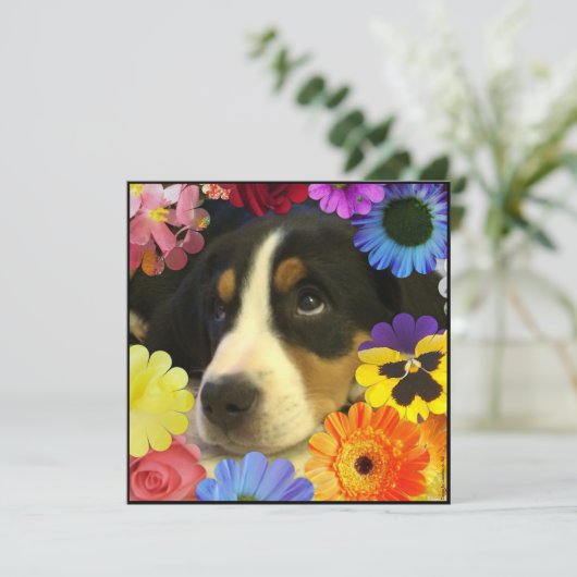 Spaans: Invitación de cumpleaños/Birthday Kaart (Staand voorkant)