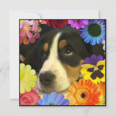 Spaans: Invitación de cumpleaños/Birthday Kaart (Voorkant)