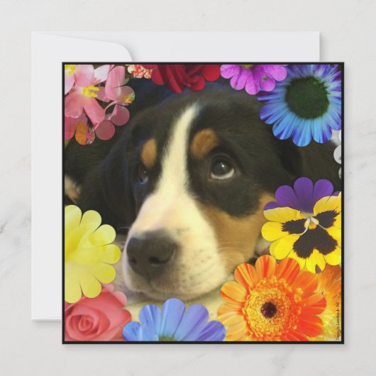 Spaans: Invitación de cumpleaños/Birthday Kaart (Voorkant)