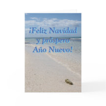 Spaans Isla Saona Caribisch strand Vrolijk kerstfe