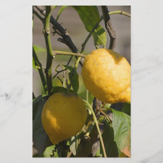 Spaans lemon grafische kaart (Voorkant)