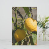 Spaans lemon grafische kaart (Staand voorkant)