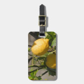 Spaans lemon grafische kaart bagagelabel (Voorkant verticaal)