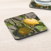 Spaans lemon grafische kaart bier onderzetter (Linkerzijde)