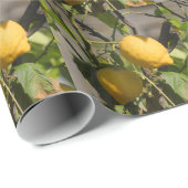 Spaans lemon grafische kaart cadeaupapier (Rol Hoek)