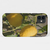 Spaans lemon grafische kaart Case-Mate iPhone case (Achterkant (horizontaal))