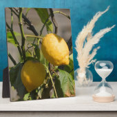 Spaans lemon grafische kaart fotoplaat (Zijkant)