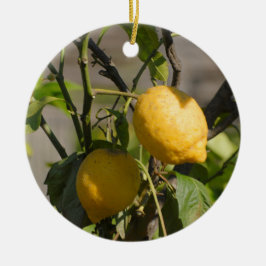 Spaans lemon grafische kaart keramisch ornament