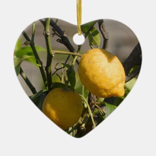 Spaans lemon grafische kaart keramisch ornament (Voorkant)