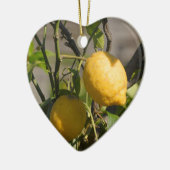 Spaans lemon grafische kaart keramisch ornament (Links)