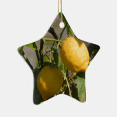 Spaans lemon grafische kaart keramisch ornament (Rechts)