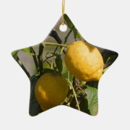 Spaans lemon grafische kaart keramisch ornament