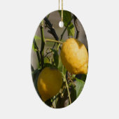 Spaans lemon grafische kaart keramisch ornament (Rechts)