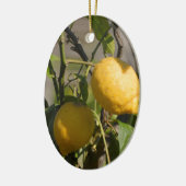 Spaans lemon grafische kaart keramisch ornament (Links)