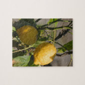 Spaans lemon grafische kaart legpuzzel (Horizontaal)