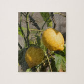 Spaans lemon grafische kaart legpuzzel (Verticaal)