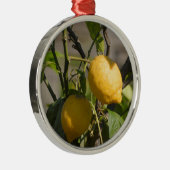 Spaans lemon grafische kaart metalen ornament (Rechts)