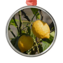 Spaans lemon grafische kaart